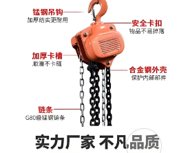 卓力生產倒鏈支持定制